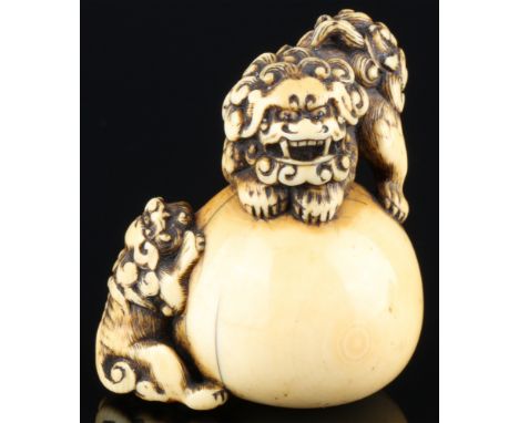 Japan 18./19. Jahrhundert, Elfenbein Shishi mit Jungem, Edo-Zeit,Japan Edo-Zeit 1603 bis 1868, Elfenbein, das Netsuke stellt 