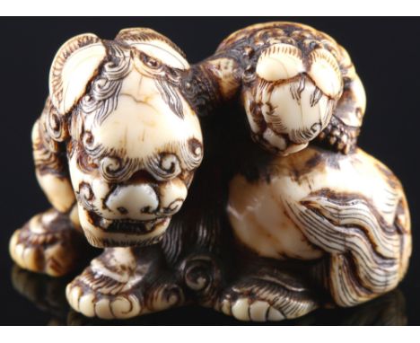 Japan 18. Jahrhundert, Elfenbein Netsuke Shishi mit Jungem, Edo-Zeit,Japan Edo-Zeit 1603 bis 1868, Elfenbein, das Netsuke ste