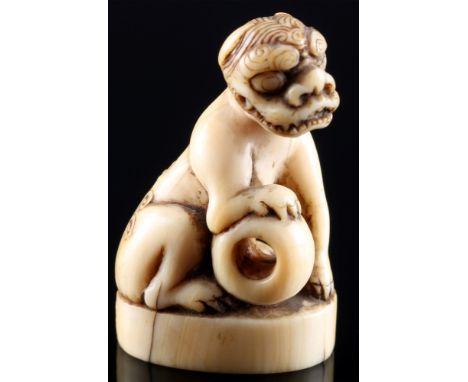 Japan 18. Jahrhundert, Elfenbein Netsuke Shishi, Edo-Zeit,Japan Edo-Zeit 1603 bis 1868, Elfenbein, das Netsuke stellt einen S