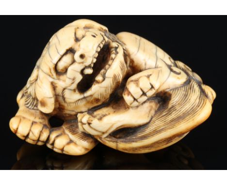 Japan 18. Jahrhundert, Elfenbein Katabori Netsuke Shishi liegend, Edo-Zeit,Japan Edo-Zeit 1603 bis 1868, Elfenbein, das Netsu
