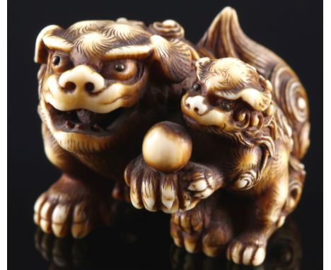 Japan 18./19. Jahrhundert, Elfenbein Netsuke Shishi mit Jungem, signiert, Edo-Zeit,Japan Edo-Zeit 1603 bis 1868, Elfenbein, d