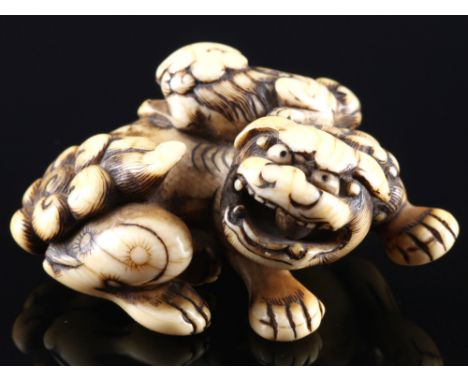 Japan 18. Jahrhundert, Elfenbein Netsuke Shishi mit Jungem, Edo-Zeit,Japan Edo-Zeit 1603 bis 1868, Elfenbein, das Netsuke ste