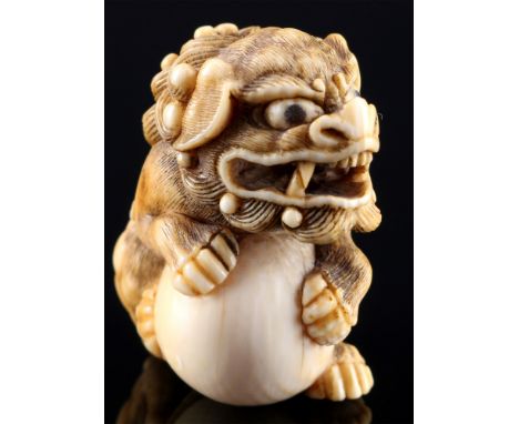 Japan 18./19. Jahrhundert, Elfenbein Katabori-Netsuke Shishi mit Kugel, Edo-Zeit,Japan Edo-Zeit 1603 bis 1868, Elfenbein, das