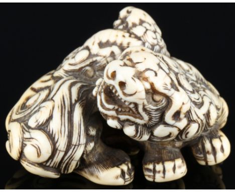 Japan 18. Jahrhundert, Elfenbein Katabori-Netsuke Shishi mit Jungem, Edo-Zeit,Japan Edo-Zeit 1603 bis 1868, Elfenbein, das Ne