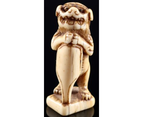 Japan 18. Jahrhundert, Elfenbein Netsuke Shishi auf Sockel, Edo-Zeit,Japan Edo-Zeit 1603 bis 1868, Elfenbein, das Netsuke ste
