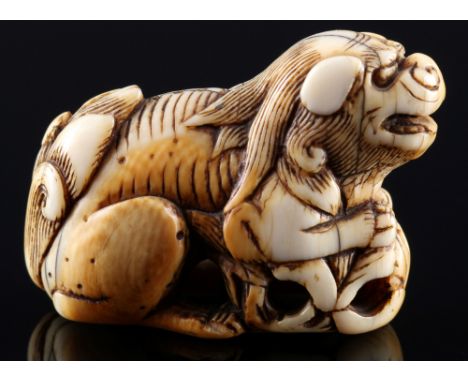 Japan 18. Jahrhundert, Elfenbein Katabori-Netsuke Shishi mit Blüte, Edo-Zeit,Japan Edo-Zeit 1603 bis 1868, Elfenbein, das Net