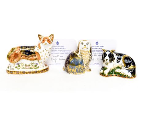 Royal Crown Derby Border Collie, limited edition 234/2500, with certificate, Royal Windsor Corgi, limited edition 460/950, wi