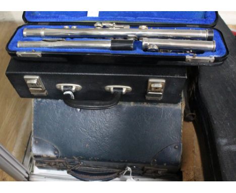Music Interest: Flute, Clarinet and Accordion 