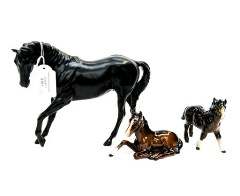 A Beswick matte black horse, raised front leg; together with a Shetland Foal (paper label) and Foal (impressed marks) 