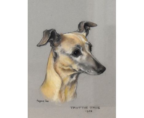 Marjorie Cox (British 1915-2003) pastels on paper, 'Trottie True' head and neck portrait of a whippet with expressionate look