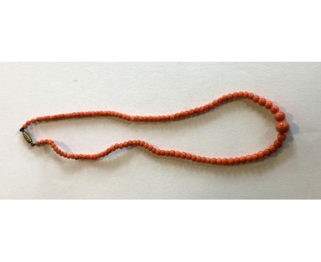 A vintage graduated coral bead necklace, to barrel clasp.