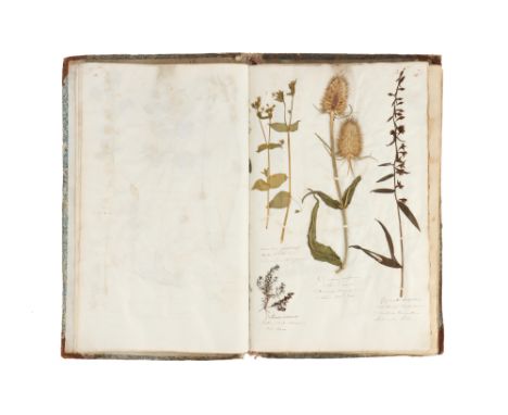 A Large Album of Pressed Plants well Annotated, the anonymous album, c. 1845 ( from the date on one of the pressed Plants) fo