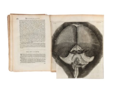 Hooke, Robert, Micrographia, or some Physiological Descriptions of Minute Bodies made by Magnifying Glasses with Observations