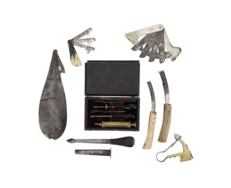 A Miscellaneous Collection of Veterinary Instruments, including: a cased set of possibly sturdy disease instruments, English,