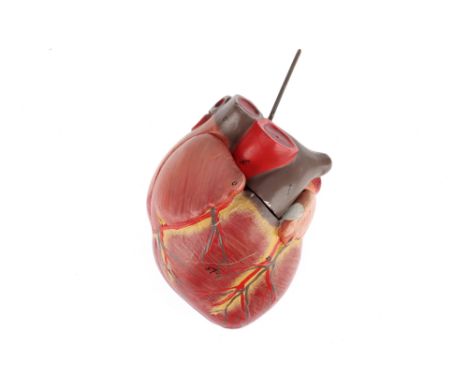 An Early Mid 20th Century Anatomical Model of the Heart, possibly by Adam Rouilly Ltd, composed of plaster and metal, polychr