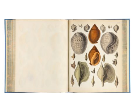 Brown, Captain Thomas, Illustrations of the Fossil Conchology of Great Britain, Brown, Captain Thomas, Illustrations of the F