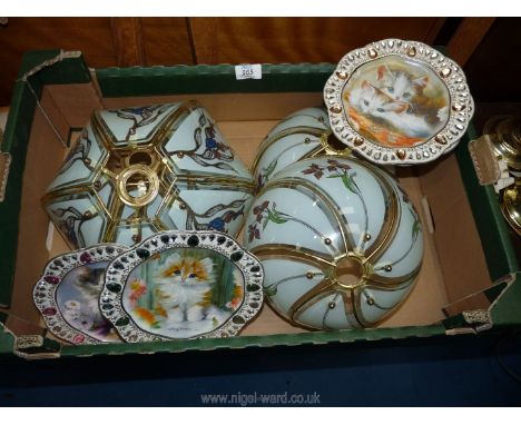 Glass lamp shades and china plates.
