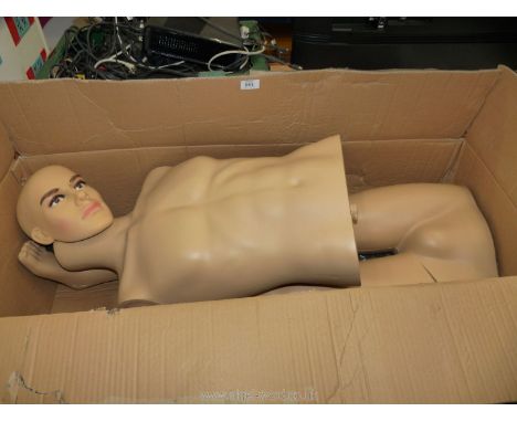 A male life size mannequin.
