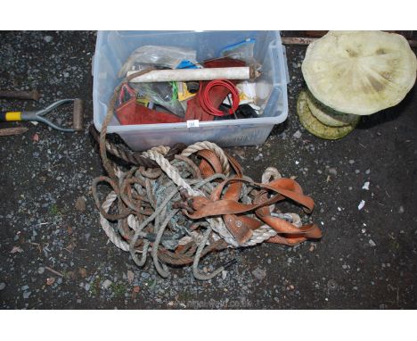 A quantity of rope, tree straps and chainsaw files.