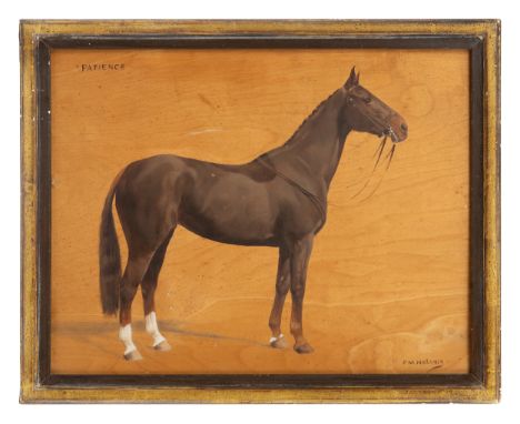 Property of a Gentleman. &nbsp;F. M. Hollams (1877 - 1963) A portrait of the horse 'Patience' Oil on panel. Dimensions: (Canv