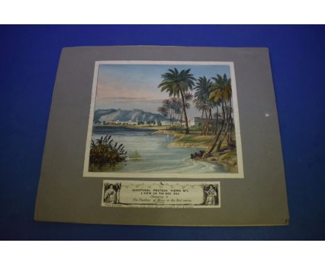 SPOONER'S PROTEAN VIEWS: a group of three hand-coloured hold-to-light 'Protean Views', pub. W Spooner, London, comprising: No