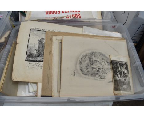 PRINTS &amp; ENGRAVINGS:&nbsp;a collection in one box, to include disbound/partially defective celestial atlas, portrait, top
