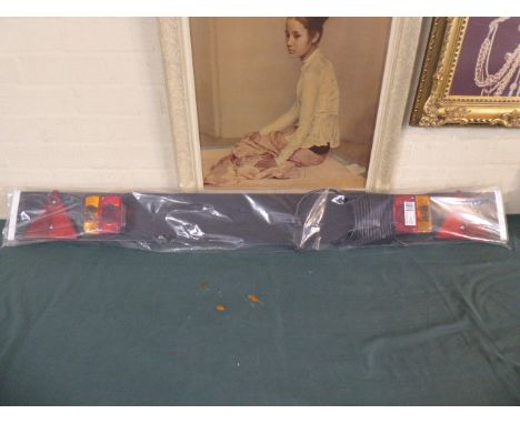 A New 4'6" Trailer Light Board, Plus VAT