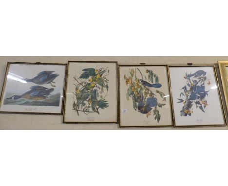 A Collection of Four Framed Bird Plates to Include Teal, Parrot and Jays.