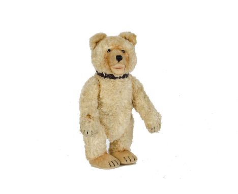 A rare Steiff Teddy Baby, circa 1948, with golden artificial silk plush, clear and black glass eyes with brown backs, short a