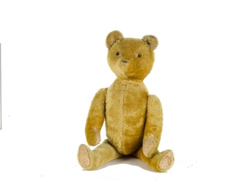 An American 1920s Teddy Bear, with golden mohair, spiked orange and black glass eyes, cloth under nose, swivel head, jointed 