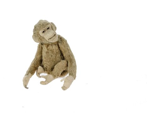 A Steiff cinnamon mohair chimpanzee, 1920s, with brown and black glass eyes, felt face with open mouth, ears, hands and feet,