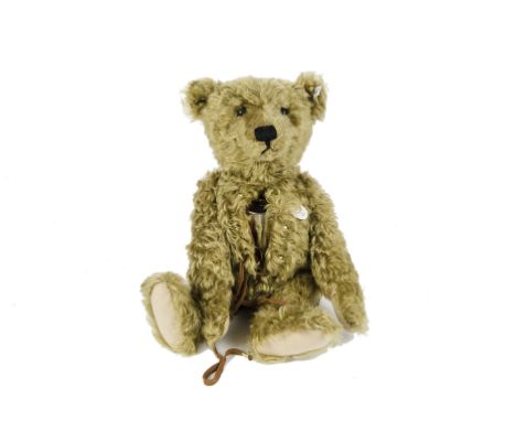 A Steiff Limited Edition Replica Teddy Bear with hot - water bottle, 1907, in original box with certificate, 1204 of 3000, 20