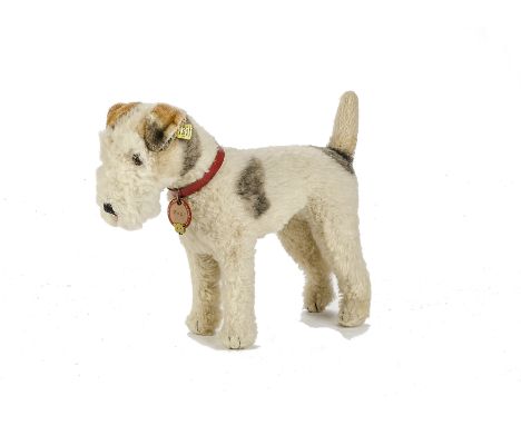 A fine Steiff standing Fox terrier, No.1329,02, late 1930s, with unusual cream wool plush with brown and black airbrushed pat