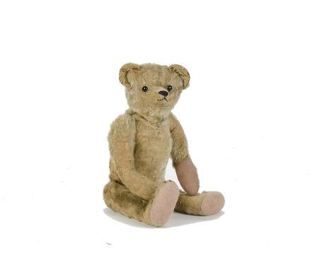 A early Strunz Teddy Bear, circa 1908, with dark blonde mohair, black boot button eyes, very thin and long pronounced muzzle,