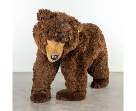 Steiff Studio Bear, EAN 500503, around 1987-1990 (160 x 95cm)