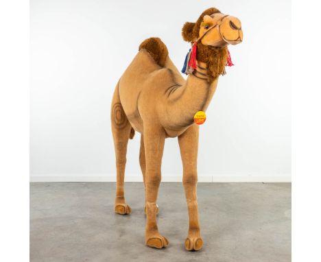 Steiff Dromedar, EAN 502101, periode 1991-1999 (170 x 150cm)