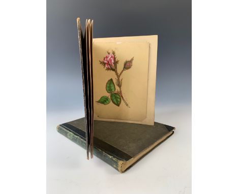Two Victorian bon-mot albums, belonging to Ann Kirk and Helen Kirk respectively, containing manuscript poetry, proverbs and r