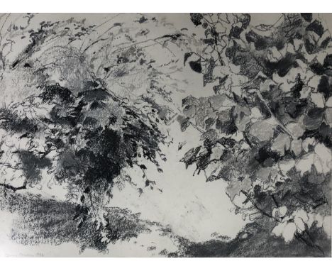 Jenny Cowern (1943-2005) Nut and Quince, monochrome pastel study of foliage, signed and dated 1988, entitled verso with annot