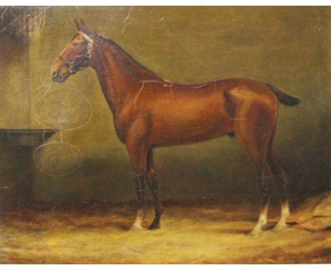 R. W. Braithwaite - 19th century, Oil on canvas,Bay hunter in a stable, Signed and dated 1903,54cm x 70cm, Framed