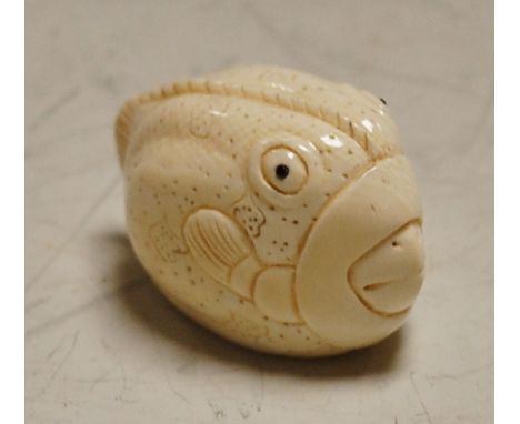 An early 20th century Japanese carved ivory netsuke in the form of a fish, signed verso