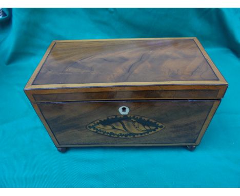 Georgian tea caddy with top lid, mahogany veneer with cross banding and inset shell design of various woods having original l
