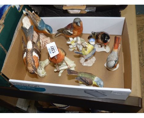 A small quantity of Goebel garden birds, to include: a Blue Tit, a Robin, etc. (one with chips).