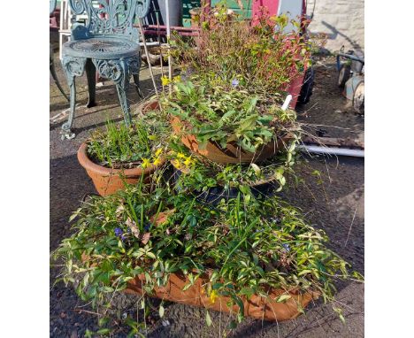 A selection of assorted garden pots and a decorative planter