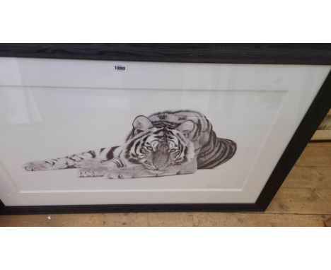 †Clive Meredith: a framed limited edition large format monochrome print entitled 'Bengal' - signed in pencil to the margin an
