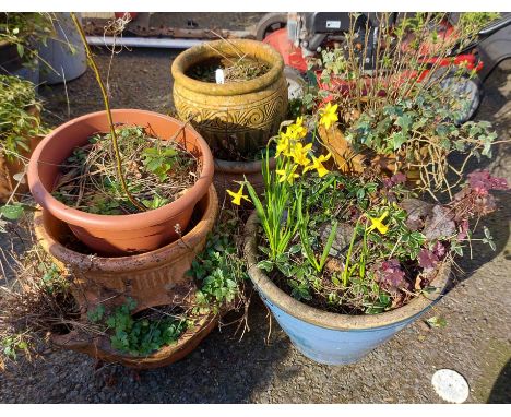 A selection of garden pots including a strawberry planter