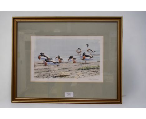 Robert Gillmor (1936-2022): A framed signed limited edition print of shelducks