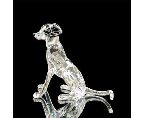 Depicts a clear crystal dalmatian with black crystal spots and ears sitting on all fours. This item has its original box. Dim