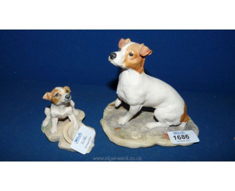 A Border Fine Arts 'Jack Russell Terrier' MT05B together with ''All Creatures Great and Small'' -  'Patch'