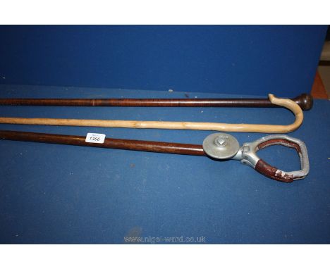 Two Walking Sticks and a Shooting Stick