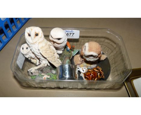 A small quantity of Owl figures including Goebel, Border Fine Arts, etc., pewter pin pot, etc.